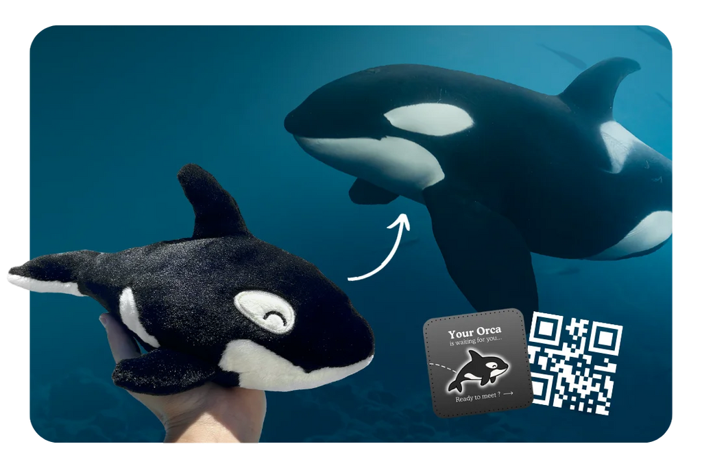 Peluche D'Adoption Orque — photo 5